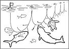 Pelagic Longline. / &copy;: WWF-Canada