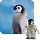 WWF-Canada / &copy;: WWF-Canada