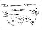 Purse Seines. / &copy;: WWF-Canada