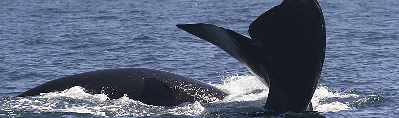  / &copy;: Tonya Wimmer / WWF-Canada