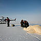 &copy; © Magnus Andersen / Norwegian Polar Institute / WWF-Canon