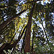 © Natalie Bowes / WWF-Canada