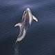 © Natalie Bowes / WWF-Canada