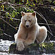 © Tim Irvin / WWF-Canada