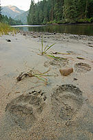  / &copy;: Tim Irvin / WWF-Canada