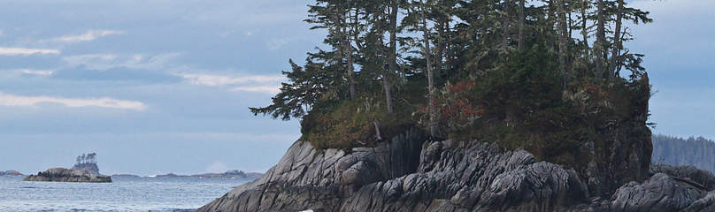 Great Bear Rainforest, British Columbia, Canada
© © Tim Irvin / WWF-Canada
© © Tim Irvin / WWF-Canada