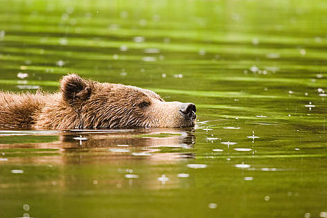  / &copy;: Tim Irvin / WWF-Canada