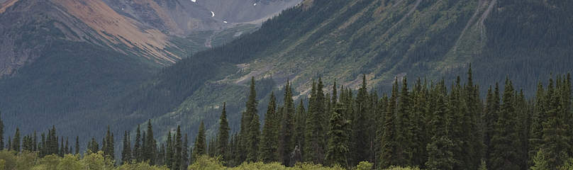 Canoeists on the Spatsizi River, British Columbia, Canada
© Tim Irvin / WWF-Canada
© Tim Irvin / WWF-Canada