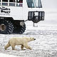&copy; Gerald Allain/ WWF-Canada