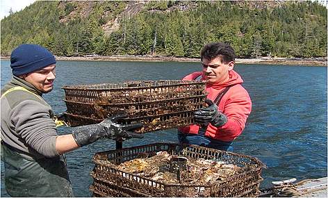 Harvesting shellfish in The Great Bear Sea. / ©: Bessie Brown / Coastal First Nations / ©: Bessie Brown / Coastal First Nations