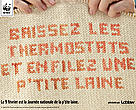 Journée nationale de la p’tite laine
