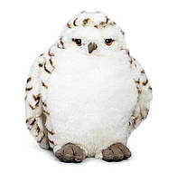  / &copy;: WWF-Canada