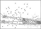 Trawling. / &copy;: WWF-Canada