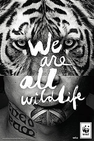 We are all Wildlife
© WWF-Canada
© WWF-Canada