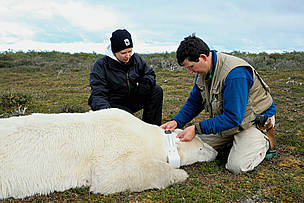  / &copy;: Kean Moynihan / WWF-Canada