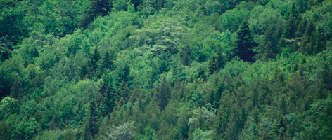  / &copy;: Karen Rosborough / WWF-Canada