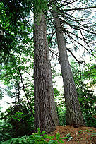  / &copy;: Greg STOTT / WWF-Canada