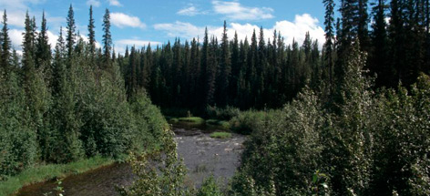  / &copy;: Peter EWINS / WWF-Canada