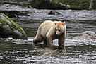  / &copy;: Natalie Bowes / WWF-Canada