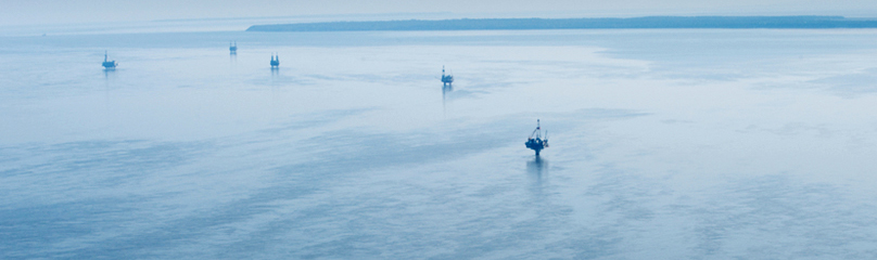 The migrating birds pass oil platforms that have been established along Gompertz Channel and Cook ...
© 2009 Florian Schulz / WWF-US
© 2009 Florian Schulz / WWF-US