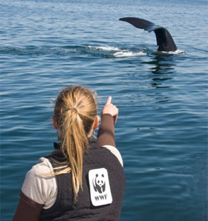  / &copy;: Damian Lidgard / WWF-Canada