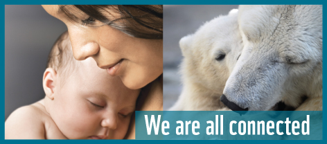 We are all connected / &copy;: WWF-Canada