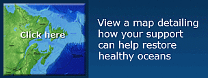 Click to view map of North Atlantic / &copy;: WWF-Canada