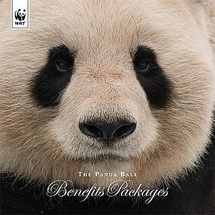 Benefits Packages / ©: naturepl.com/Edwin Giesbers/WWF-Canon / ©: naturepl.com/Edwin Giesbers/WWF-Canon