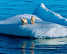 A polar bear and her cub rest on an iceberg in the Arctic Ocean, Canada.