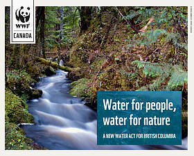 WWF worked to ensure new rules to protect river flow and groundwater were included in BC’s new ...
© WWF-Canada
© WWF-Canada