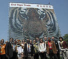  / &copy;: WWF/A. Christy Williams